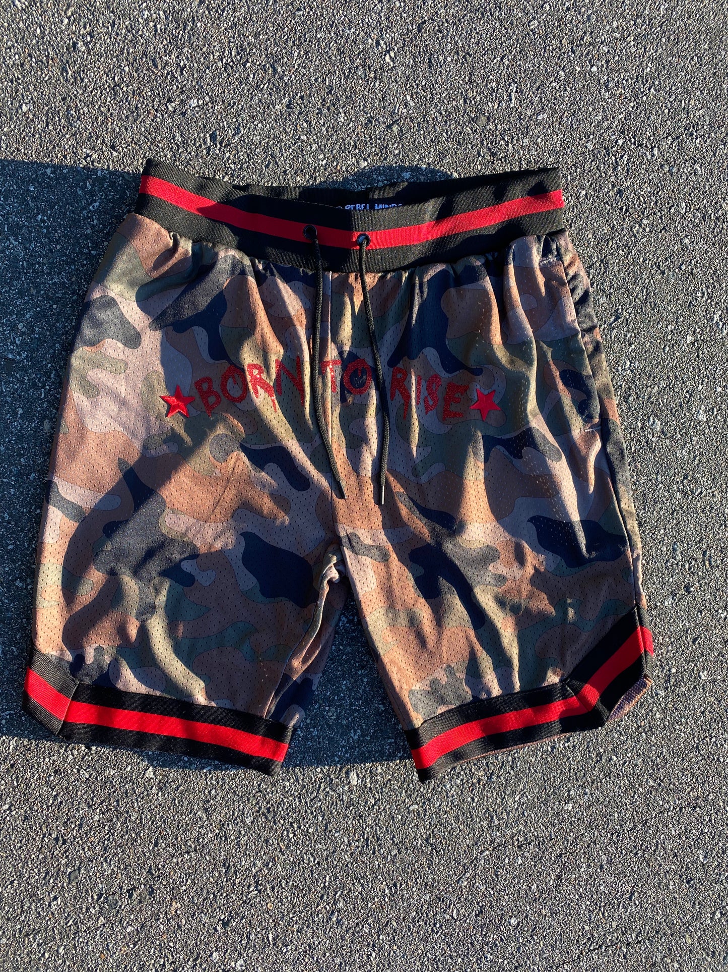 Born To Rise Shorts